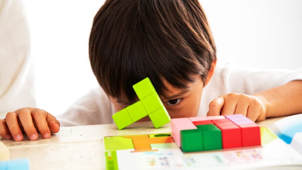 GENIの知育玩具・木のおもちゃ・知育パズル「立体パズル」｜知の贈り物