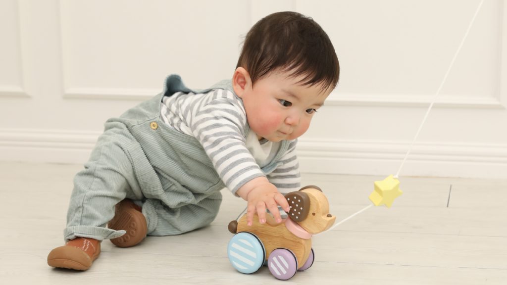 GENIの木のおもちゃプルトーイ「Candy Puppy -キャンディパピー-」を目で追う子ども:追視力とハイハイ促進を助ける知育玩具